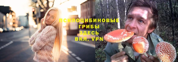дурь Алзамай
