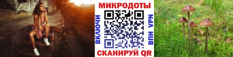 Галлюциногенные грибы прущие грибы  Черепаново 